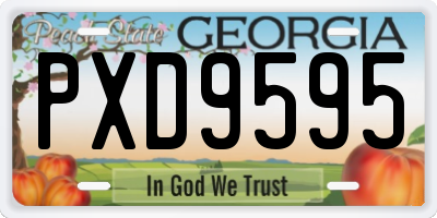 GA license plate PXD9595