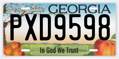 GA license plate PXD9598