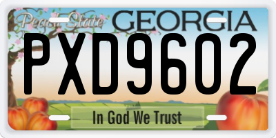 GA license plate PXD9602