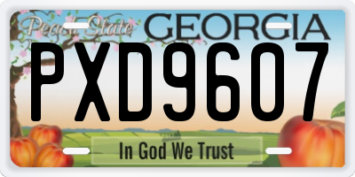 GA license plate PXD9607