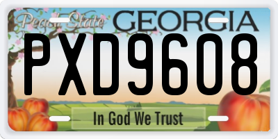 GA license plate PXD9608