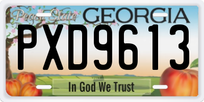 GA license plate PXD9613