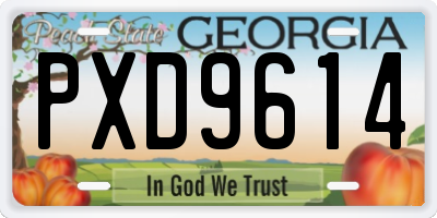 GA license plate PXD9614