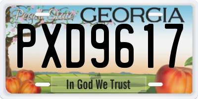 GA license plate PXD9617