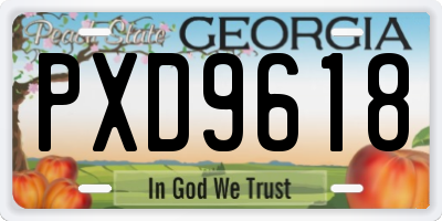 GA license plate PXD9618