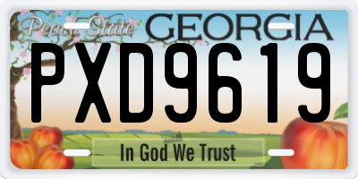 GA license plate PXD9619