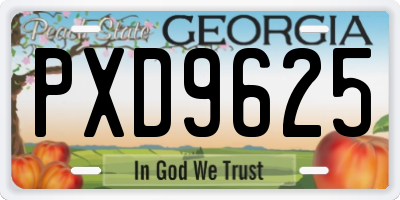 GA license plate PXD9625