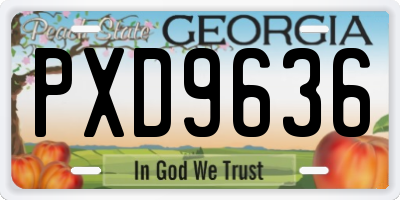 GA license plate PXD9636