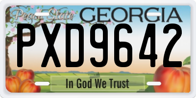 GA license plate PXD9642