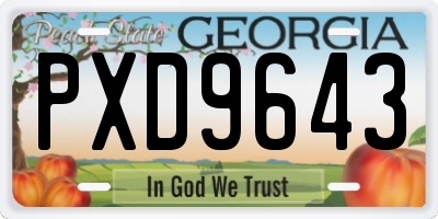 GA license plate PXD9643