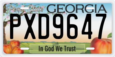 GA license plate PXD9647