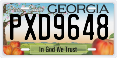 GA license plate PXD9648