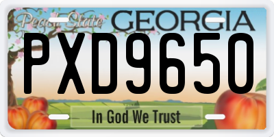 GA license plate PXD9650