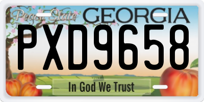 GA license plate PXD9658