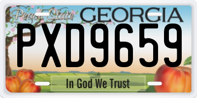 GA license plate PXD9659