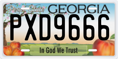 GA license plate PXD9666