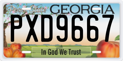 GA license plate PXD9667