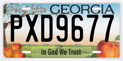 GA license plate PXD9677