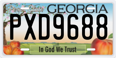 GA license plate PXD9688