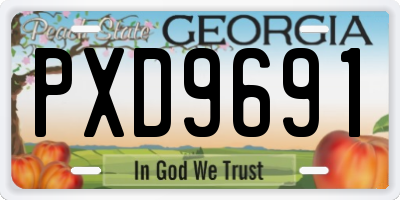 GA license plate PXD9691