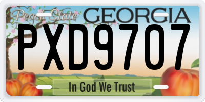 GA license plate PXD9707