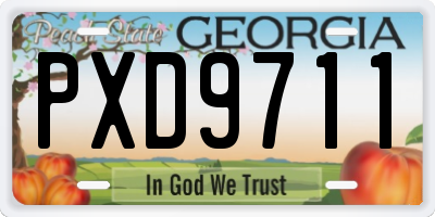 GA license plate PXD9711