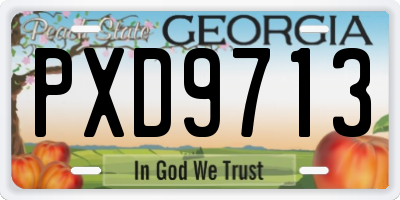 GA license plate PXD9713
