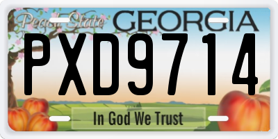 GA license plate PXD9714