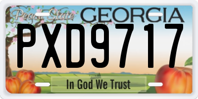GA license plate PXD9717