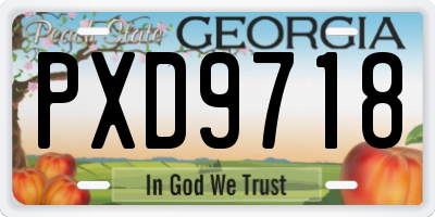 GA license plate PXD9718