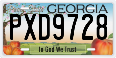 GA license plate PXD9728