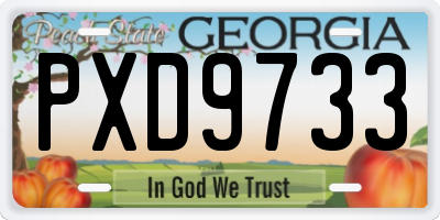 GA license plate PXD9733
