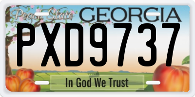 GA license plate PXD9737