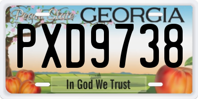 GA license plate PXD9738