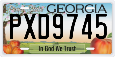 GA license plate PXD9745