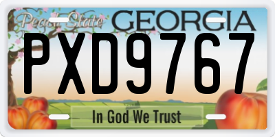 GA license plate PXD9767
