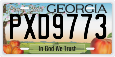 GA license plate PXD9773