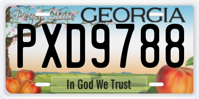 GA license plate PXD9788