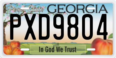 GA license plate PXD9804