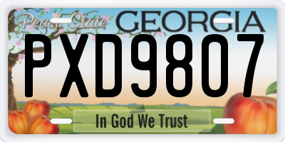 GA license plate PXD9807