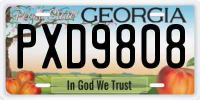 GA license plate PXD9808