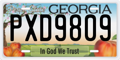 GA license plate PXD9809