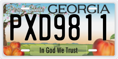 GA license plate PXD9811