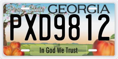GA license plate PXD9812