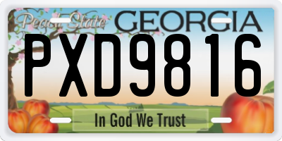 GA license plate PXD9816