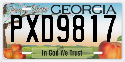 GA license plate PXD9817