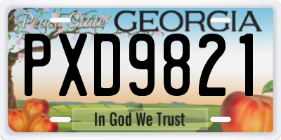 GA license plate PXD9821
