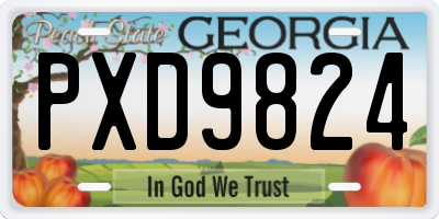 GA license plate PXD9824