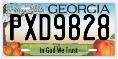 GA license plate PXD9828