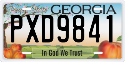 GA license plate PXD9841